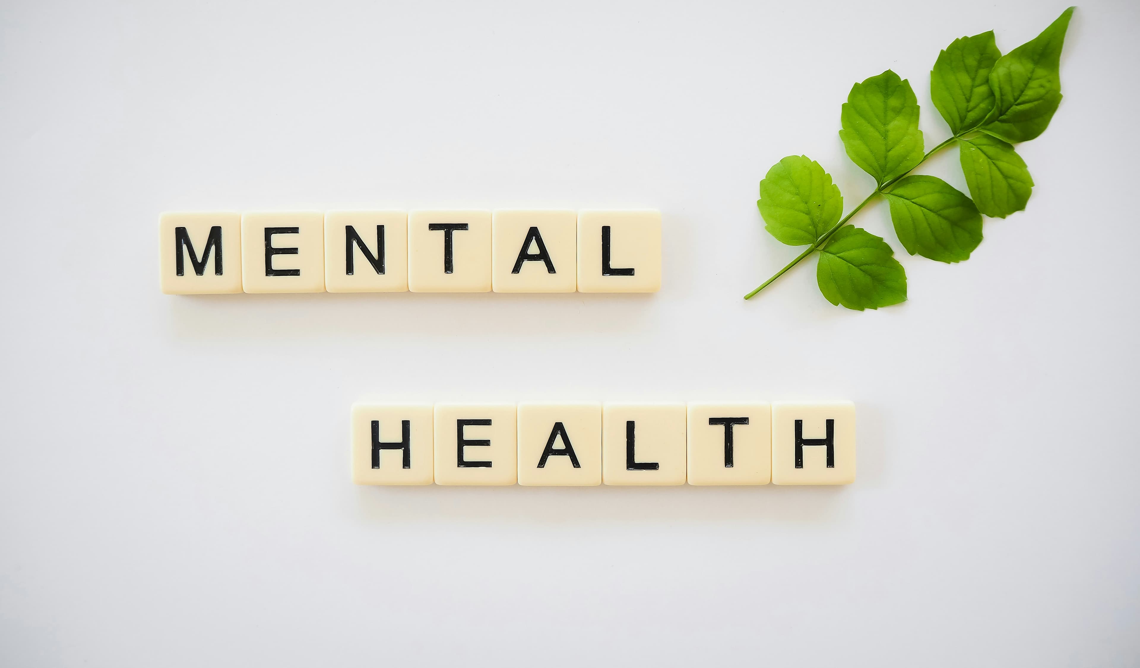 Mental Health First Aid CE